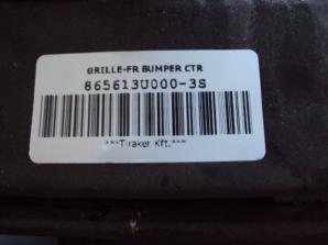 GRILLE-FR BUMPER CTR