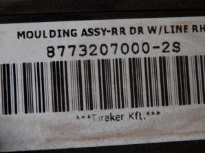 MOULDING ASSY-RR DR W/LINE RH