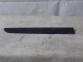 MOULDING ASSY-RR DR W/LINE RH